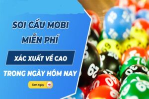 soi-cau-mobi-1
